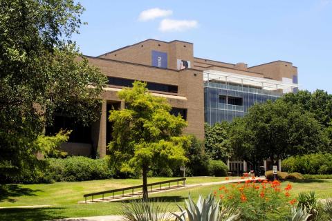 college of fine arts