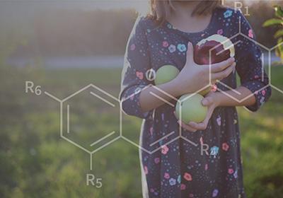 child in field picking and eating apples